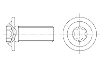 Schrauben mit Abgeflachtem Halbrundkopf mit Innensechsrund und bund (I6R)